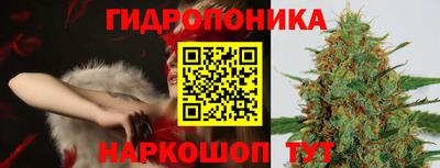 ГАЛЛЮЦИНОГЕННЫЕ ГРИБЫ Коммунар