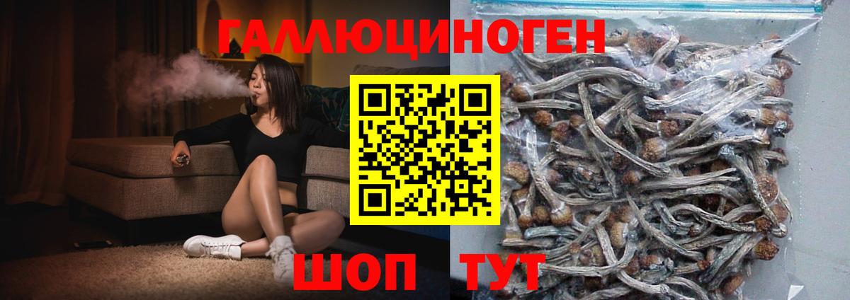 Галлюциногенные грибы MAGIC MUSHROOMS Корсаков